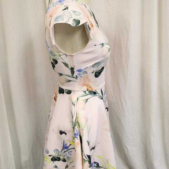 Ted Baker Size 0 Pink and Floral Dress Fit and Flare - Picture 4 of 11